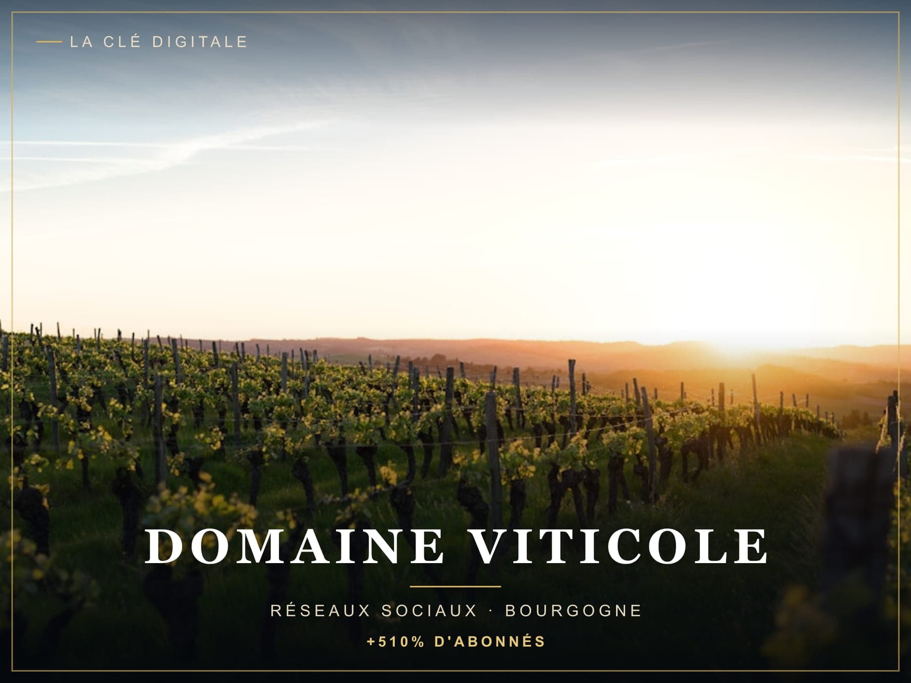 Stratégie sociale pour un domaine viticole de Bourgogne